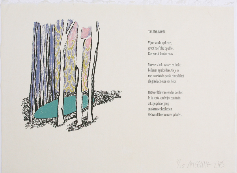 05-Cassette_Zwaan_voorkant_Taarloo_avond