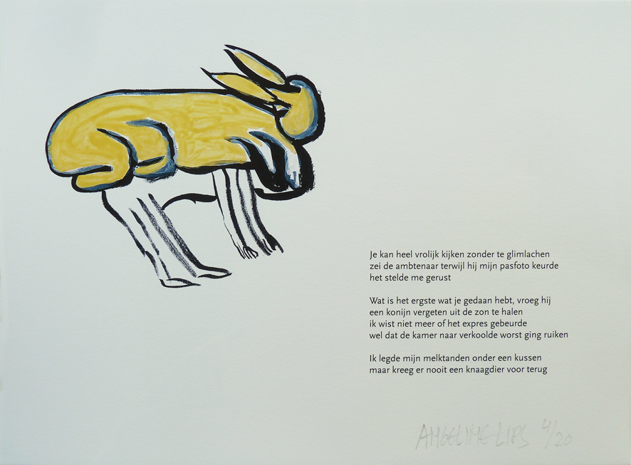 de meeste dingen breken-je_kan_heel_vrolijk