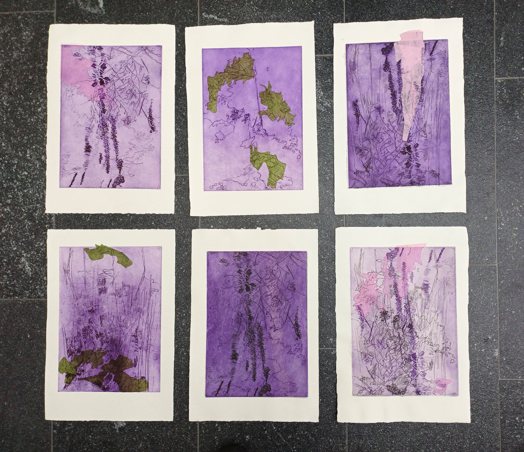 expo-pulchri-09012026-angeline-lips-02